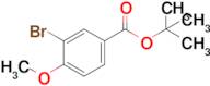 Tert-butyl 3-bromo-4-methoxybenzoate