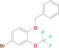 1-(Benzyloxy)-4-bromo-2-(trifluoromethoxy)benzene