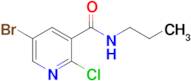 5-Bromo-2-chloro-N-propylpyridine-3-carboxamide