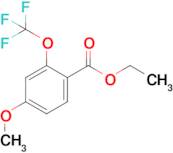 Ethyl 4-methoxy-2-(trifluoromethoxy)benzoate