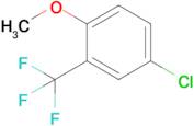 4-Chloro-2-(trifluoromethyl)anisole