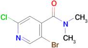 5-Bromo-2-chloro-N,N-dimethylisonicotinamide