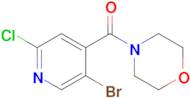 (5-Bromo-2-chloropyridin-4-yl)(morpholino)methanone