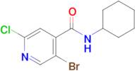 5-Bromo-2-chloro-N-cyclohexylisonicotinamide