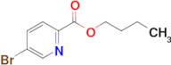 Butyl 5-bromopicolinate