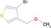 3-Bromo-4-(methoxymethyl)thiophene