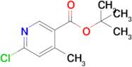 Tert-butyl 6-chloro-4-methylnicotinate