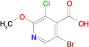 5-Bromo-3-chloro-2-methoxyisonicotinic acid