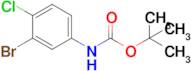 tert-Butyl 3-bromo-4-chlorophenylcarbamate