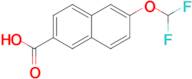 6-(Difluoromethoxy)-2-naphthoic acid