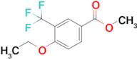 Methyl 4-ethoxy-3-(trifluoromethyl)benzoate