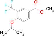 Methyl 4-isopropoxy-3-(trifluoromethyl)benzoate