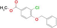 4-Benzyloxy-3-chlorobenzoic acid methyl ester