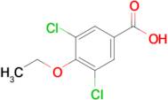 3,5-Dichloro-4-ethoxybenzoic acid