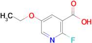 5-Ethoxy-2-fluoronicotinic acid