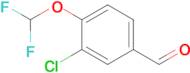 3-Chloro-4-(difluoromethoxy)benzaldehyde