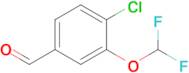 4-Chloro-3-(difluoromethoxy)benzaldehyde