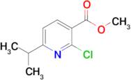 Methyl 2-chloro-6-(propan-2-yl)pyridine-3-carboxylate