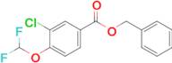 Benzyl 3-chloro-4-(difluoromethoxy)benzoate