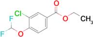 Ethyl 3-chloro-4-(difluoromethoxy)benzoate