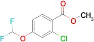 Methyl 2-chloro-4-(difluoromethoxy)benzoate