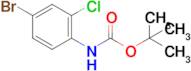 tert-Butyl (4-bromo-2-chlorophenyl)carbamate