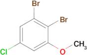 5-Chloro-2,3-dibromoanisole