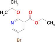 Ethyl 5-bromo-2-(propan-2-yloxy)pyridine-3-carboxylate