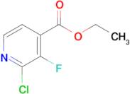 Ethyl 2-chloro-3-fluoro-4-pyridinecarboxylate