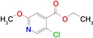 Ethyl 5-chloro-2-methoxypyridine-4-carboxylate