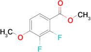 Methyl 2,3-difluoro-4-methoxybenzoate