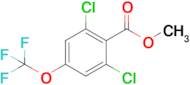 Methyl 2,6-dichloro-4-(trifluoromethoxy)benzoate