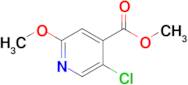 Methyl 5-chloro-2-methoxypyridine-4-carboxylate