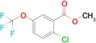 Methyl 2-chloro-5-(trifluoromethoxy)benzoate