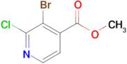 Methyl 3-bromo-2-chloropyridine-4-carboxylate