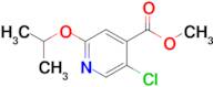 Methyl 5-chloro-2-(propan-2-yloxy)pyridine-4-carboxylate