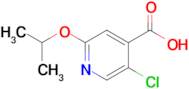 5-Chloro-2-(propan-2-yloxy)pyridine-4-carboxylic acid