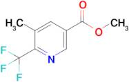 Methyl 5-methyl-6-(trifluoromethyl)nicotinate