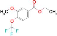 Ethyl 3-methoxy-4-(trifluoromethoxy)benzoate