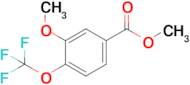 Methyl 3-methoxy-4-(trifluoromethoxy)benzoate