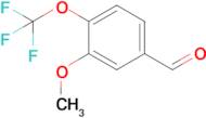 3-Methoxy-4-(trifluoromethoxy)benzaldehyde