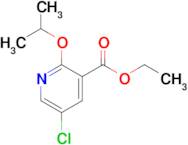 Ethyl 5-chloro-2-(propan-2-yloxy)pyridine-3-carboxylate