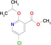 Methyl 5-chloro-2-(propan-2-yloxy)pyridine-3-carboxylate