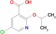 5-Chloro-2-(propan-2-yloxy)pyridine-3-carboxylic acid