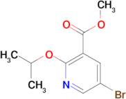 Methyl 5-bromo-2-propan-2-yloxypyridine-3-carboxylate