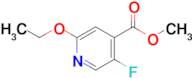 Methyl 2-ethoxy-5-fluoroisonicotinate