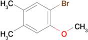 1-Bromo-2-methoxy-4,5-dimethylbenzene