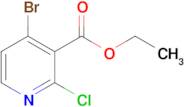 Ethyl 4-bromo-2-chloronicotinate