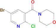 4-(5-Bromo-2-chloropyridine-3-carbonyl)morpholine