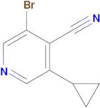 3-Bromo-5-cyclopropylisonicotinonitrile